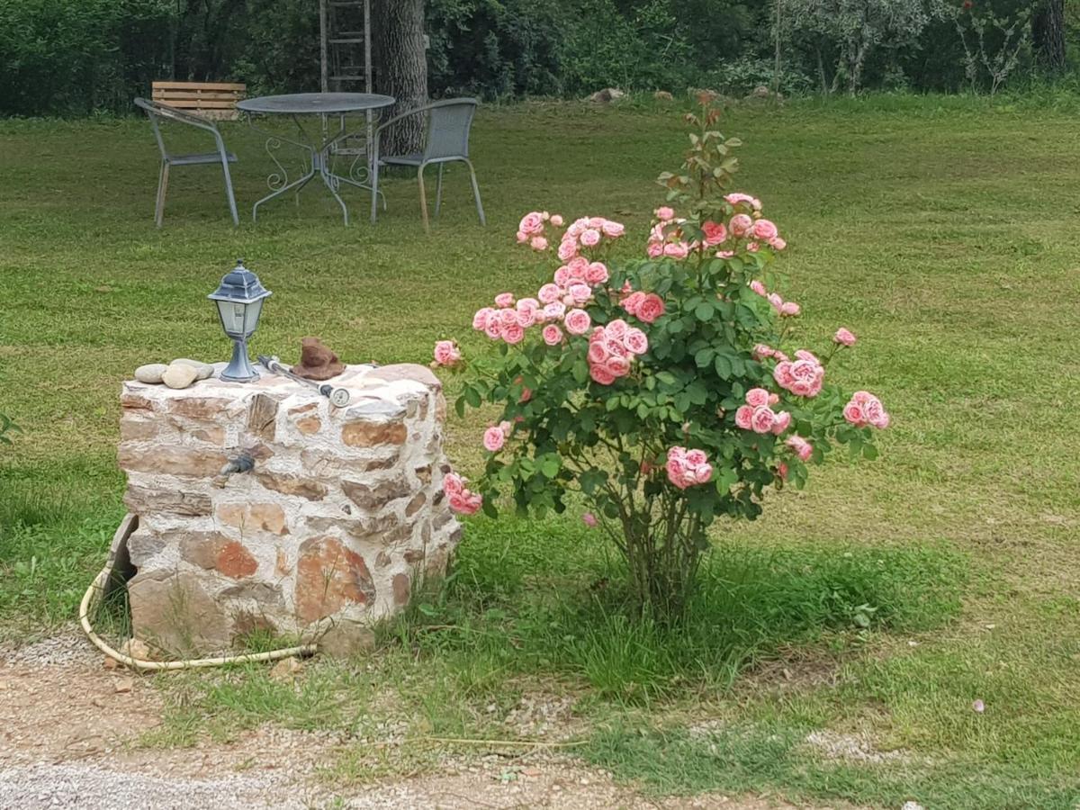 Le Jardin Des Selves Panzió Draguignan Kültér fotó